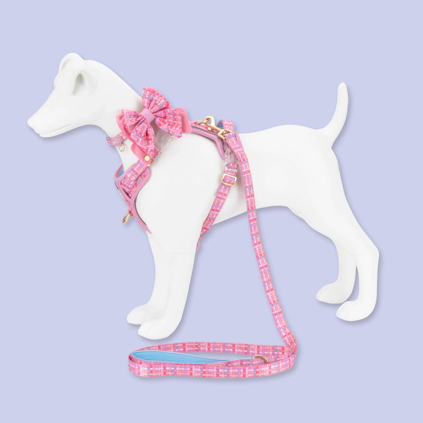 Dog Butterfly Bow: Belgravia Bonbon