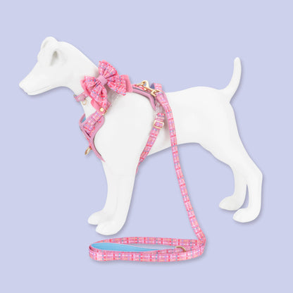 Dog Butterfly Bow: Belgravia Bonbon
