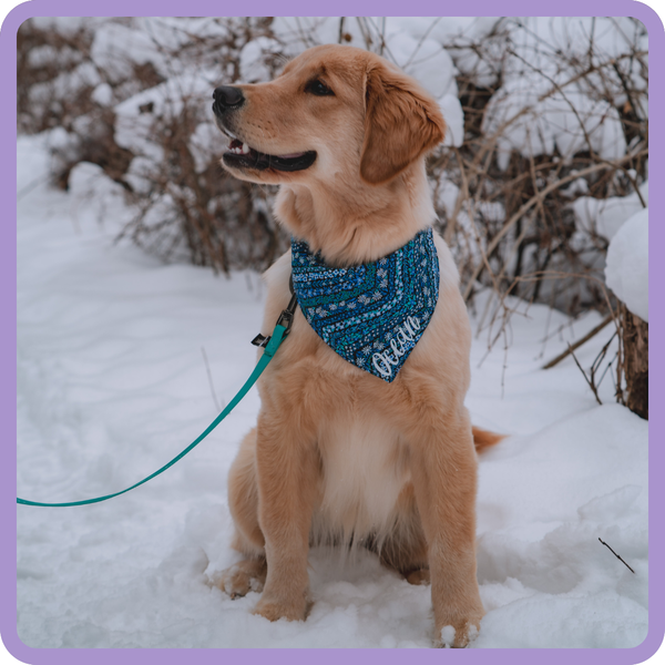 Customer photo for Blue Floral Chevron Bandana