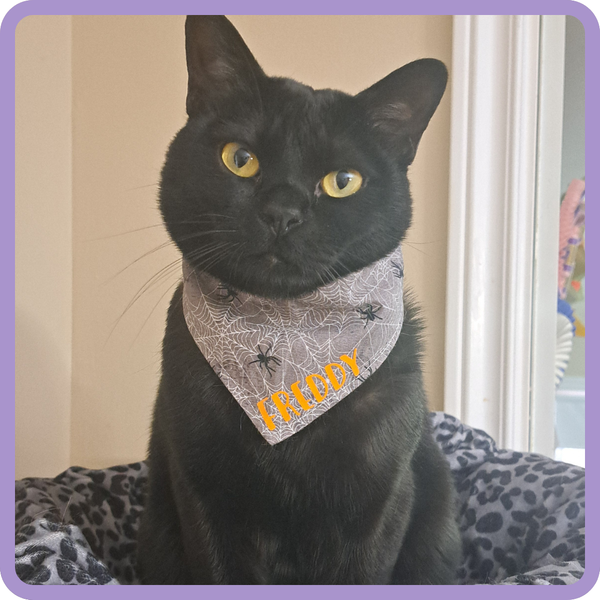 Customer photo for Spider Web Bandana