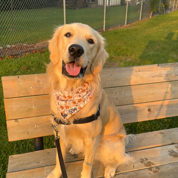 Customer photo for Cowboy Ghost Bandana