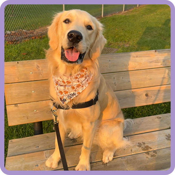 Customer photo for Cowboy Ghost Bandana