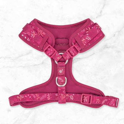 Adjustable Dog Harness: Chiswick Dragonfruit