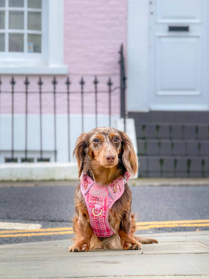Step & Switch® Dog Harness: Belgravia Bonbon