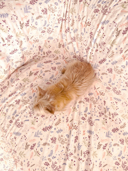 Blanket: Chiswick Oyster