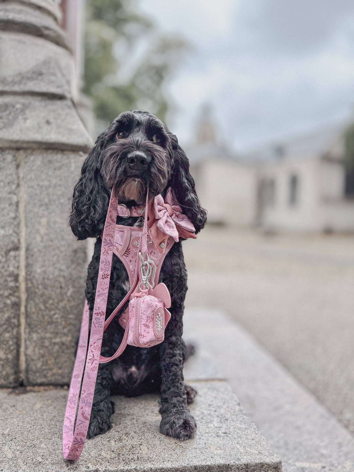 Dog Poop Bag Holder: Chiswick Rosewood