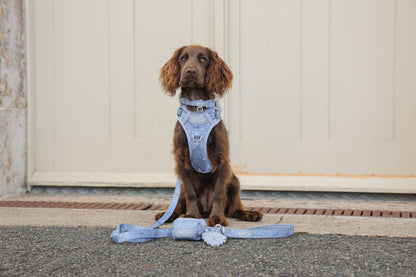 Dog Poop Bag Holder: Chiswick Dovetail