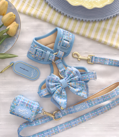 Adjustable Dog Harness: Belgravia Macaron