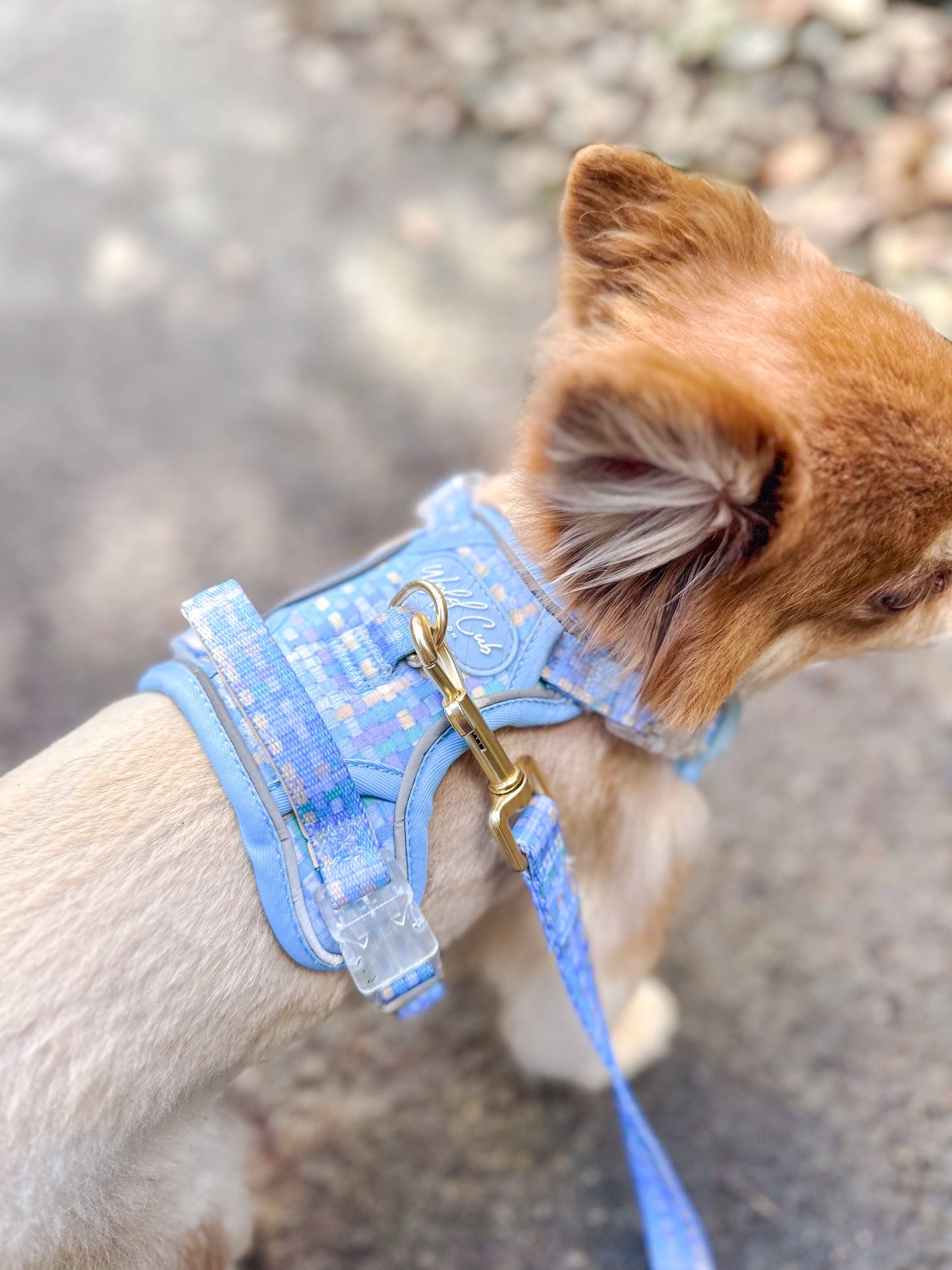 Step & Switch® Dog Harness: Belgravia Macaron