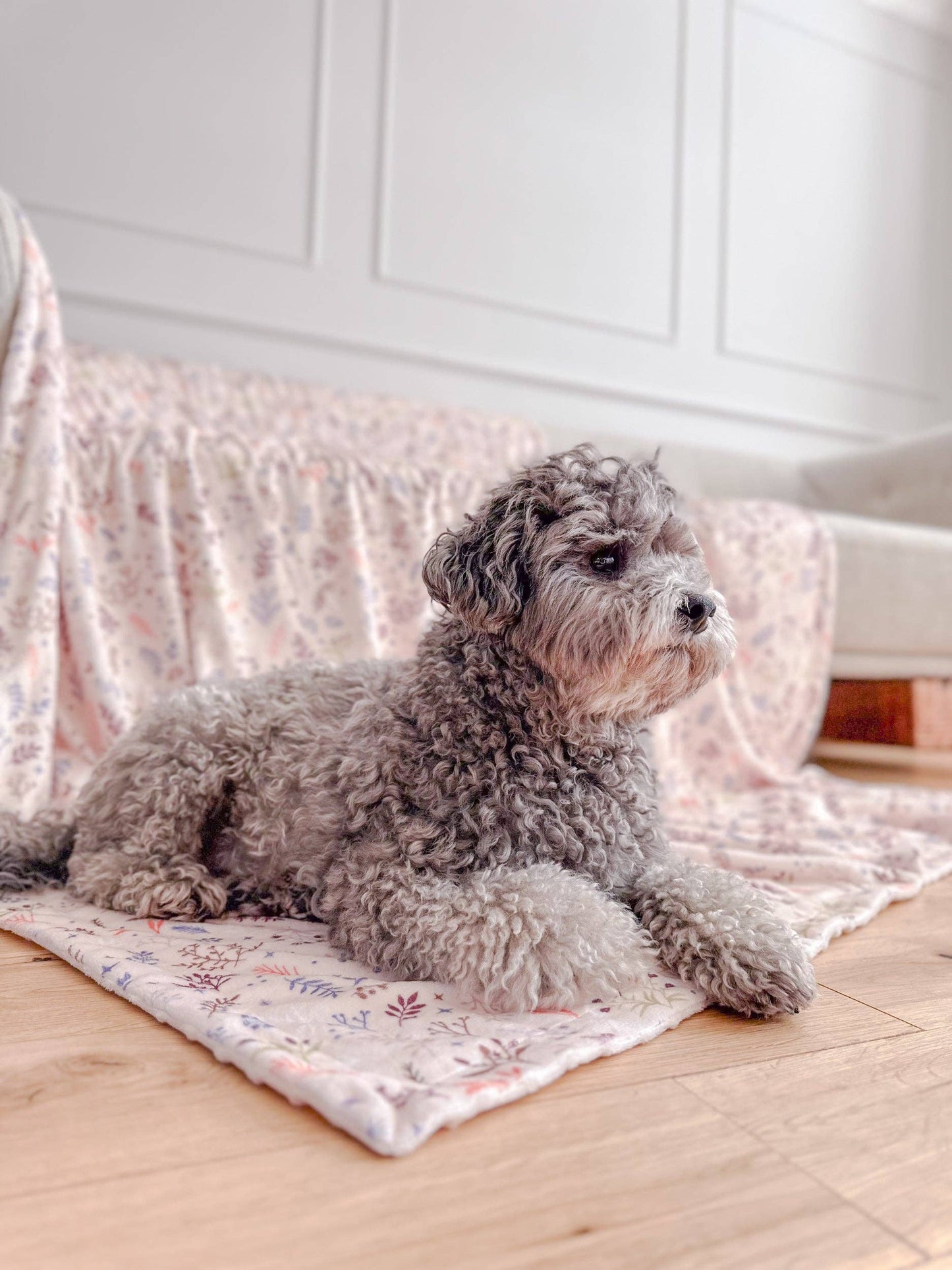 Blanket: Chiswick Oyster