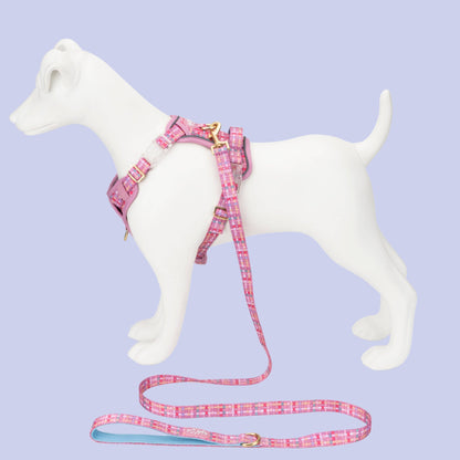 Step & Switch® Dog Harness: Belgravia Bonbon