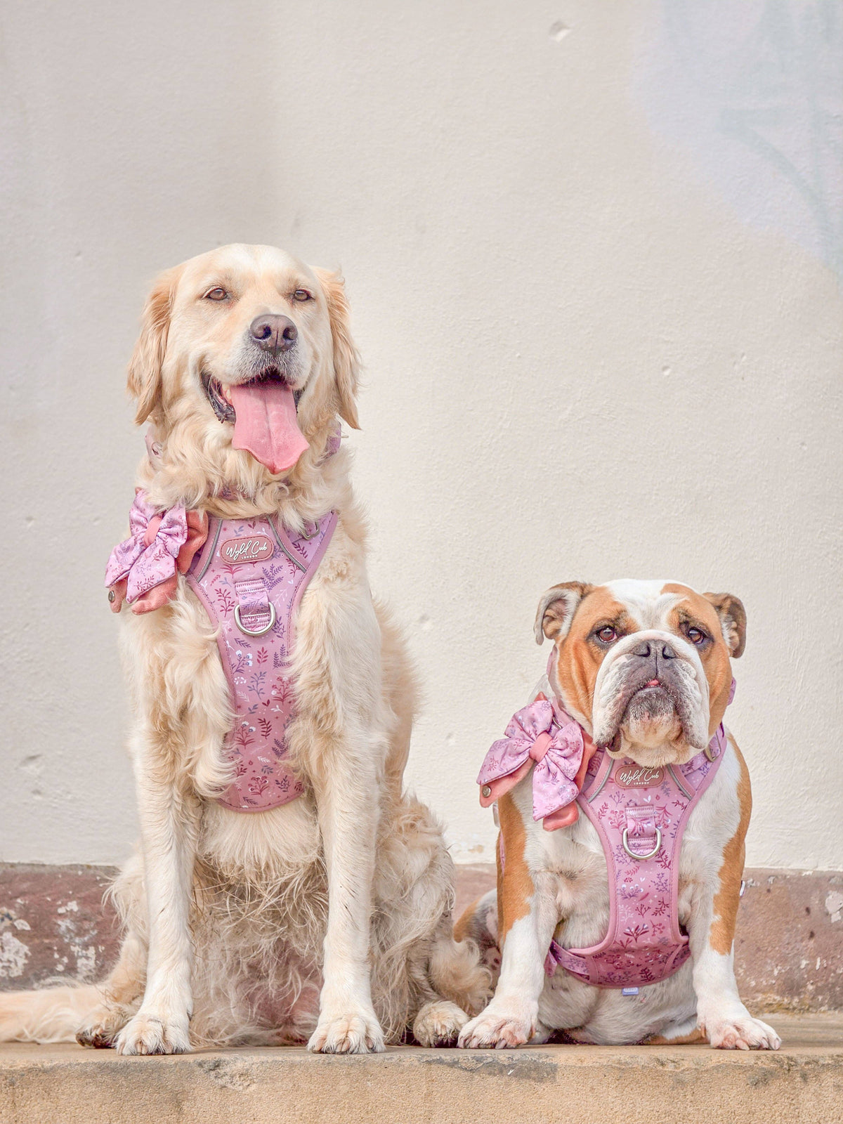 Dog Butterfly Bow: Chiswick Rosewood