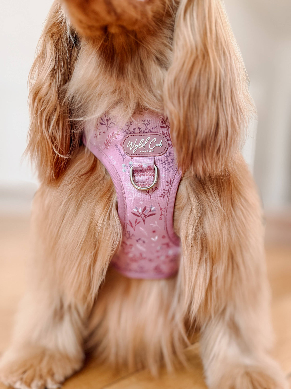 Adjustable Dog Harness: Chiswick Rosewood