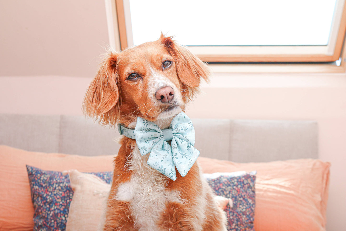 Dog Sailor Bow: Chiswick Pistachio