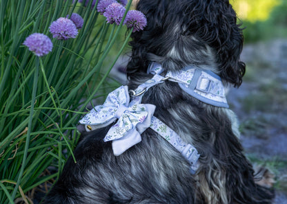Dog Butterfly Bow: Chiswick Thistle