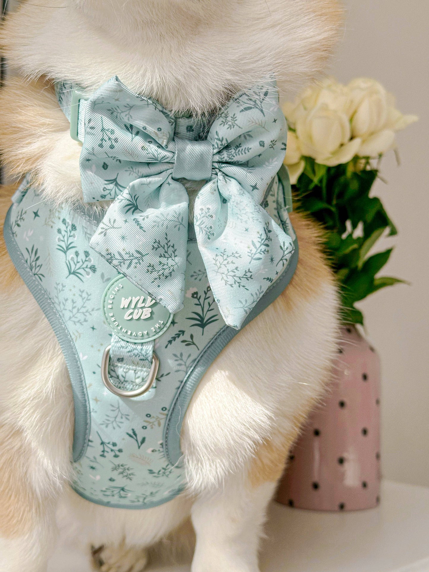 Dog Sailor Bow: Chiswick Pistachio
