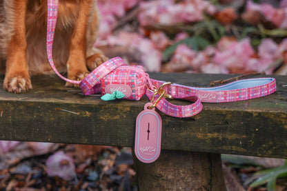 Dog Poop Bag Caddy: Belgravia Bonbon