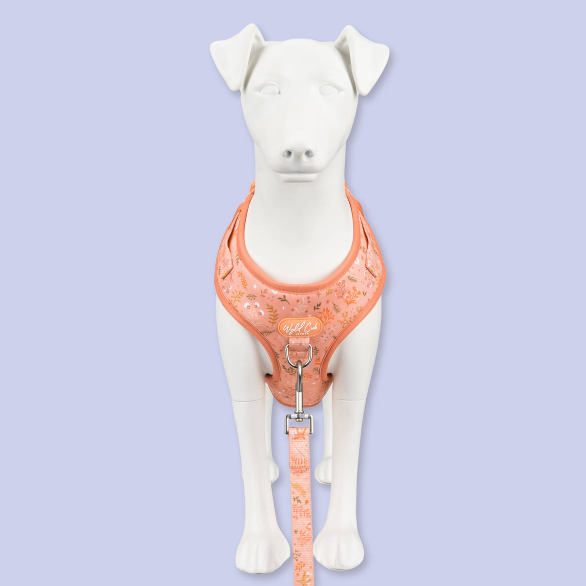 Adjustable Dog Harness: Chiswick Papaya