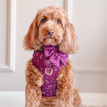 Dog Sailor Bow: Chiswick Fig