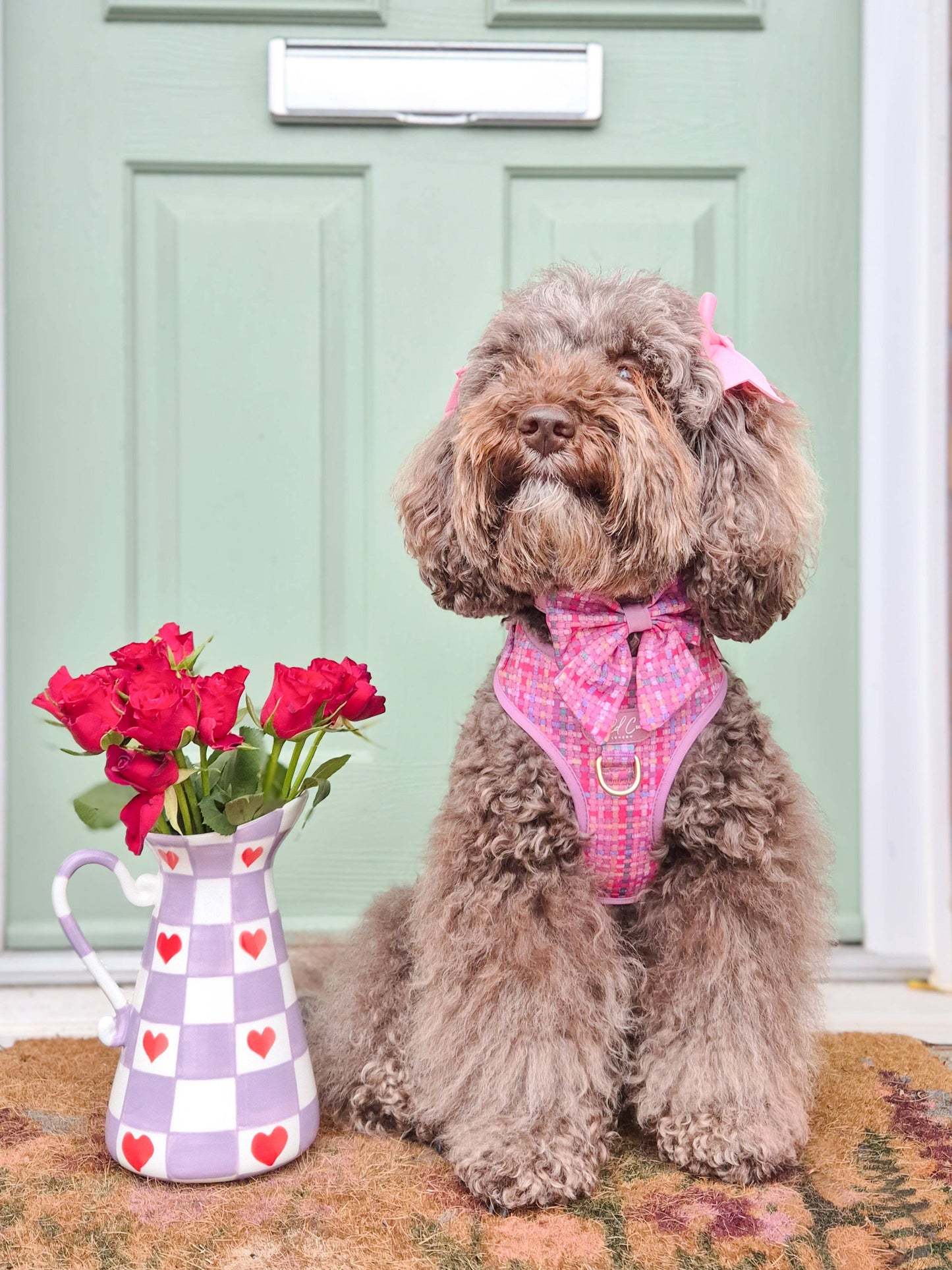 Dog Sailor Bow: Belgravia Bonbon