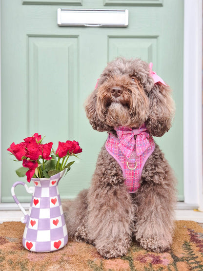 Dog Sailor Bow: Belgravia Bonbon