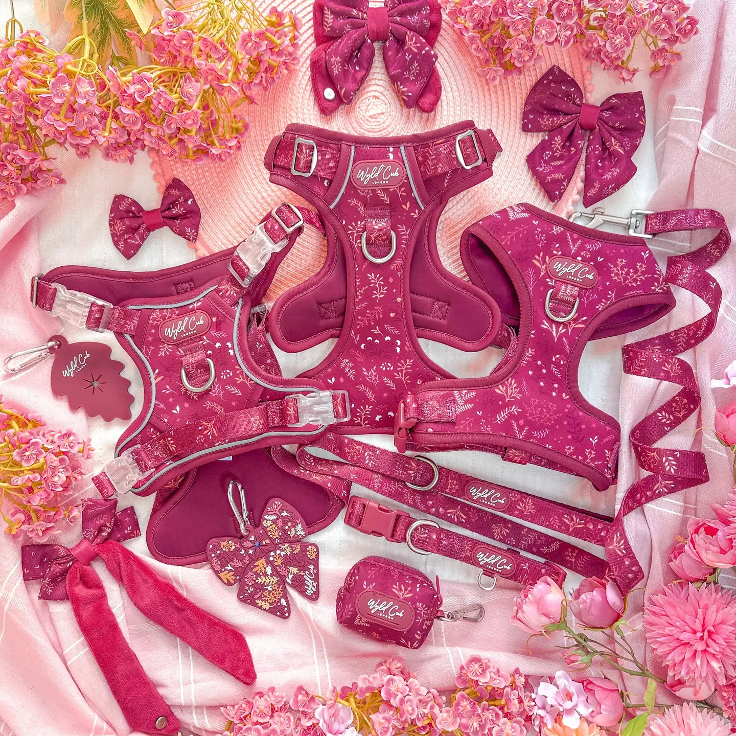 Dog Dickie Bow: Chiswick Dragonfruit