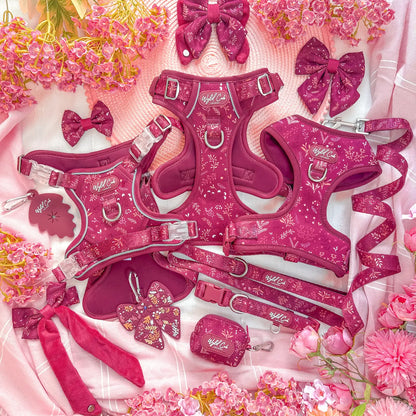 Dog Dickie Bow: Chiswick Dragonfruit