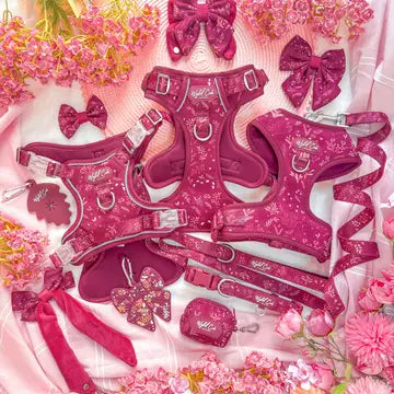 Step & Switch® Dog Harness: Chiswick Dragonfruit