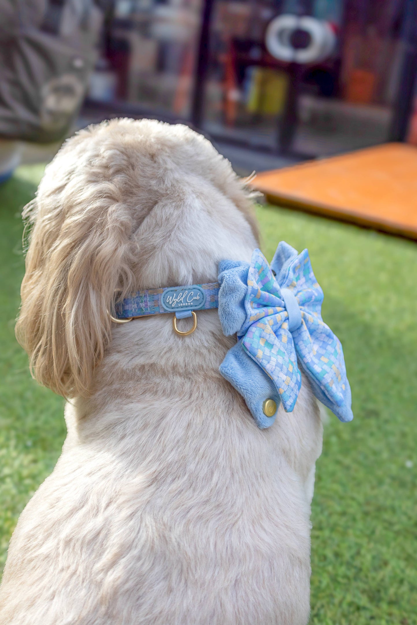 Adjustable Dog Collar: Belgravia Macaron