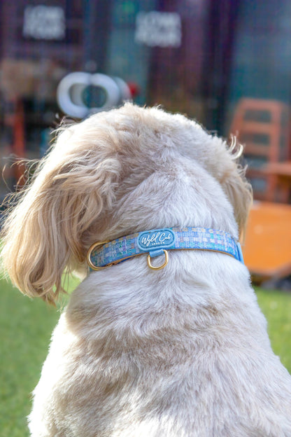 Adjustable Dog Collar: Belgravia Macaron