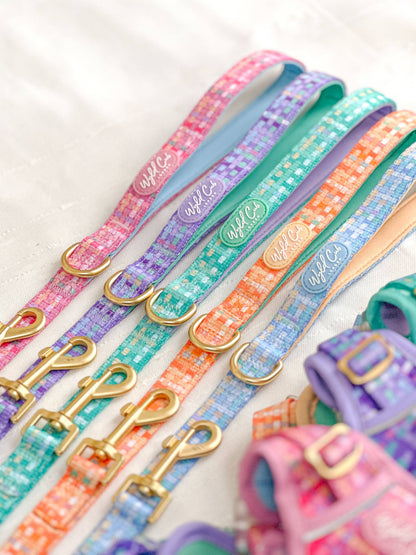 Dog Lead: Belgravia Bonbon
