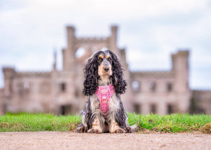 Step & Switch® Dog Harness: Belgravia Bonbon