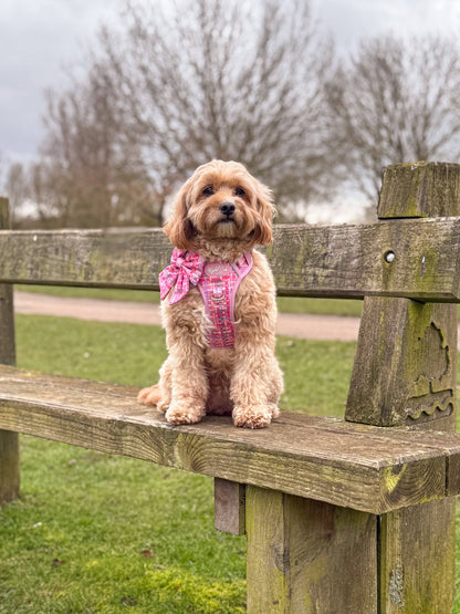 Dog Sailor Bow: Belgravia Bonbon