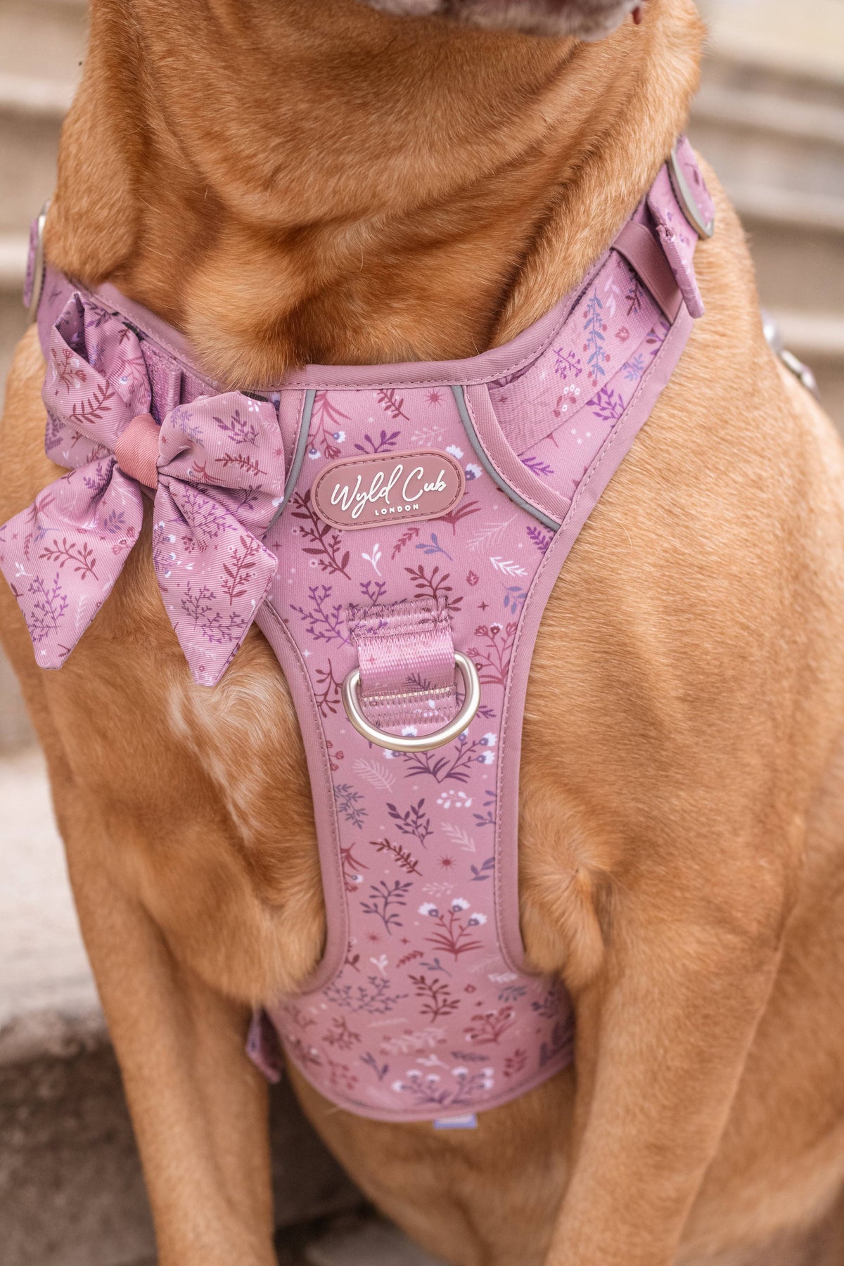 Dog Sailor Bow: Chiswick Rosewood