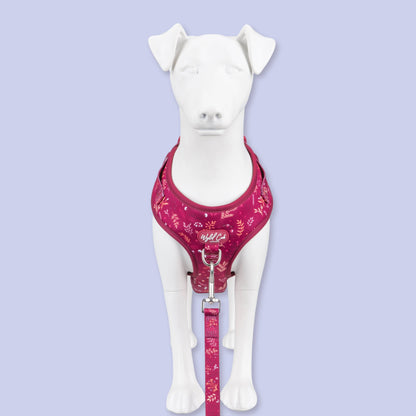 Adjustable Dog Harness: Chiswick Dragonfruit