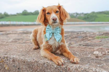 Dog Butterfly Bow: Chiswick Pistachio