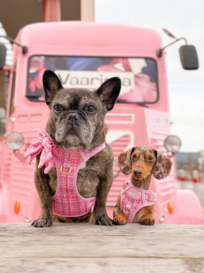 Step & Switch® Dog Harness: Belgravia Bonbon