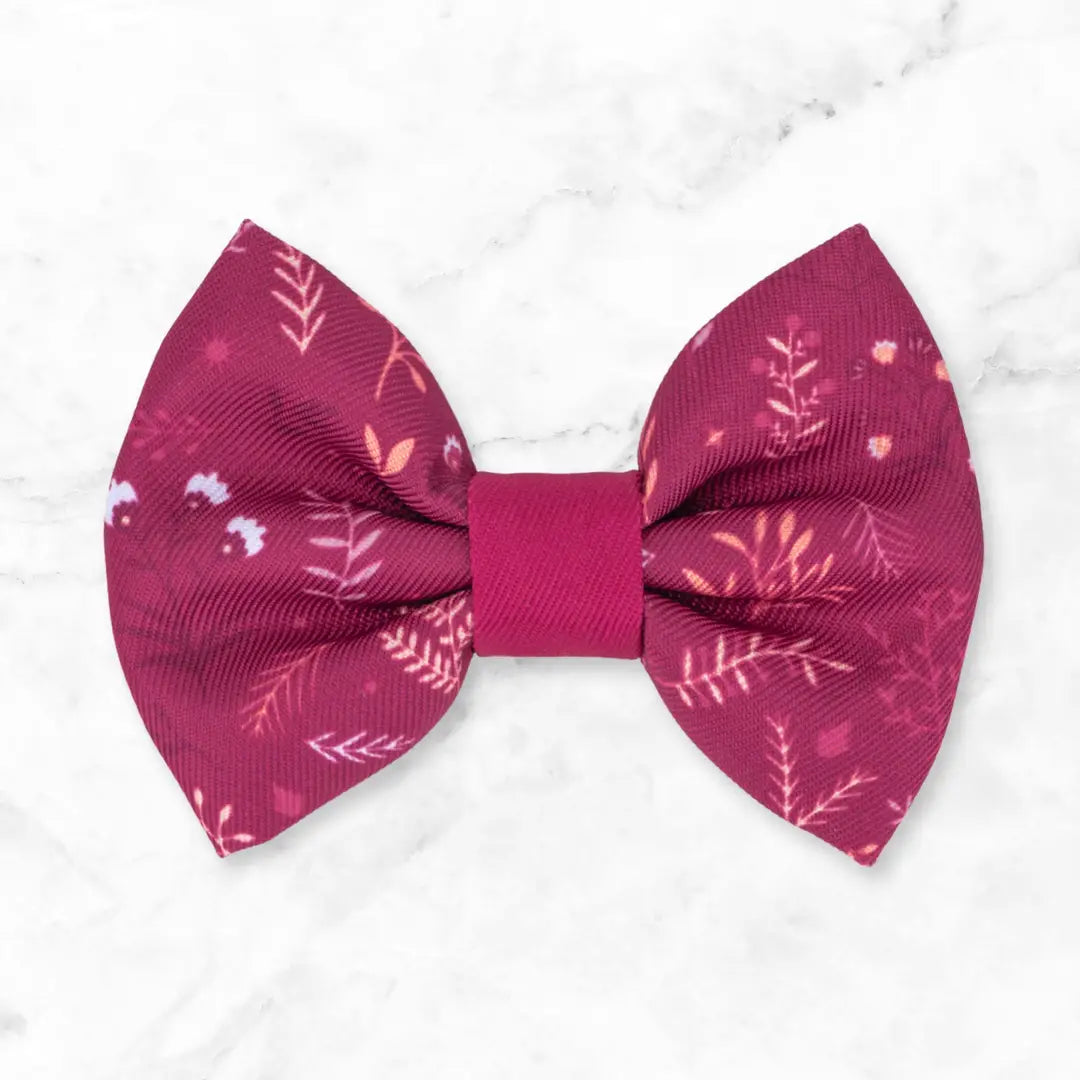Dog Dickie Bow: Chiswick Dragonfruit