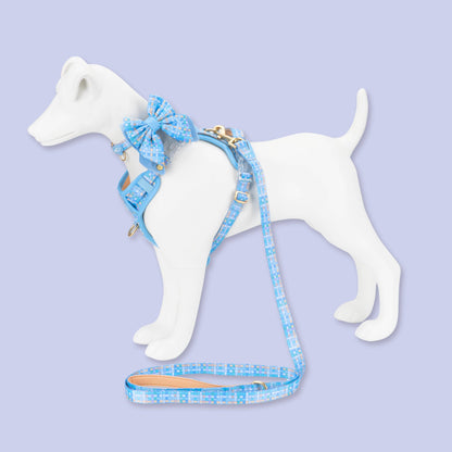 Dog Butterfly Bow: Belgravia Macaron