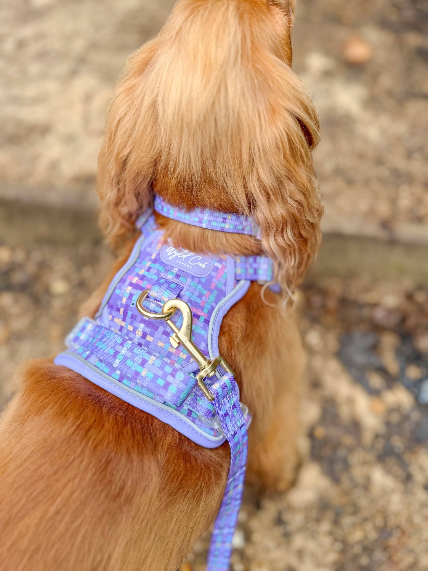 Step & Switch® Dog Harness: Belgravia Sugarplum