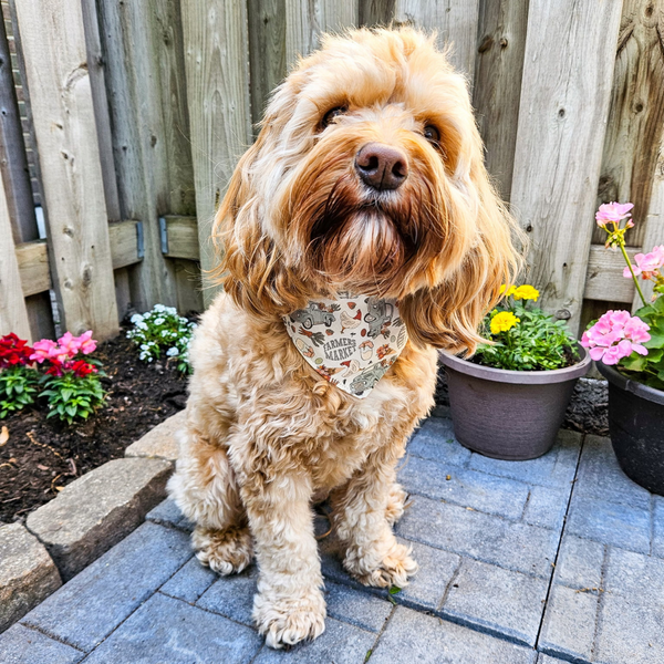 Customer photo for Farmer's Market Bandana