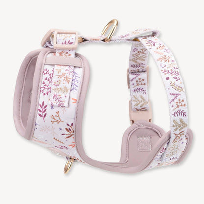 Adjustable Dog Harness: Chiswick Oyster