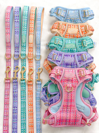 Dog Lead: Belgravia Bonbon