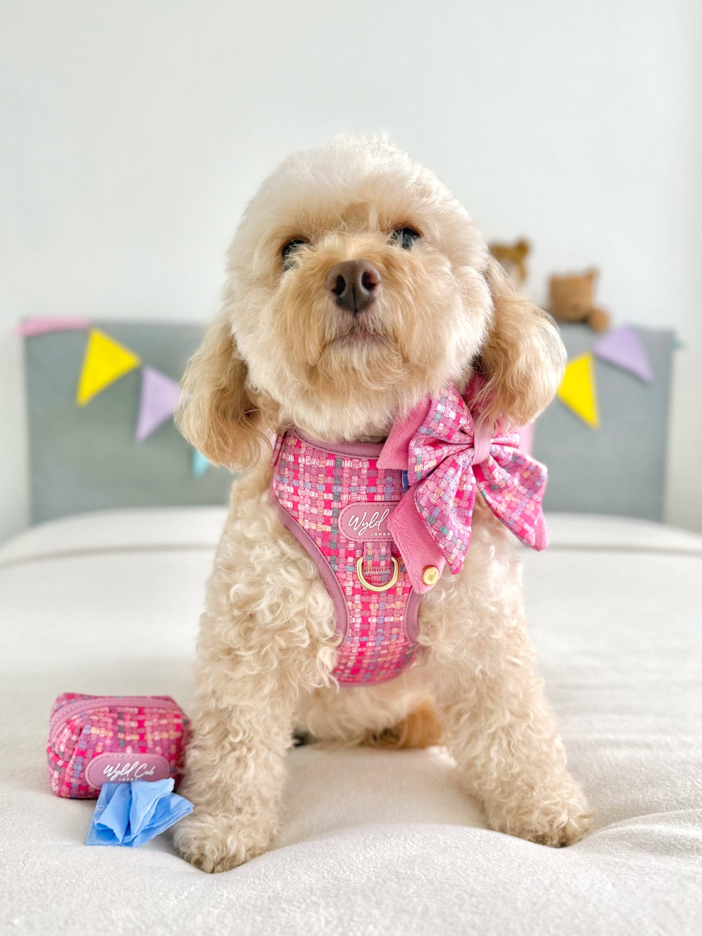 Dog Poop Bag Holder: Belgravia Bonbon