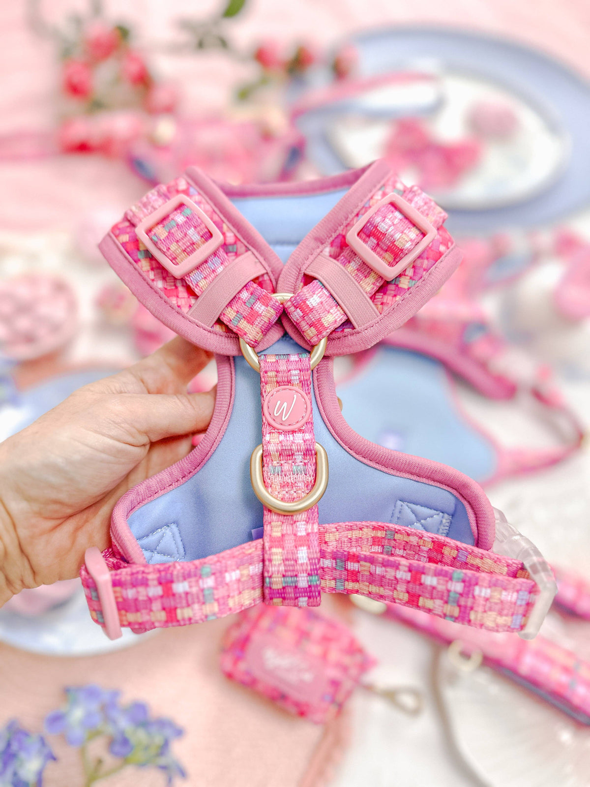 Adjustable Dog Harness: Belgravia Bonbon