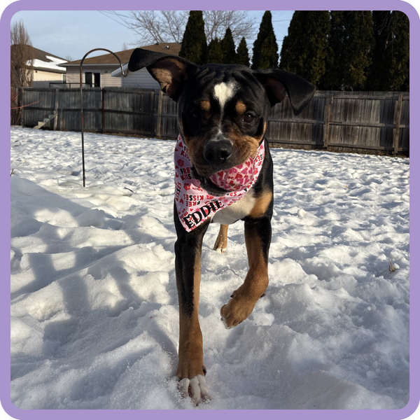 Customer photo for Free Kisses Bandana