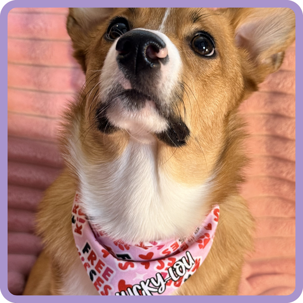 Customer photo for Free Kisses Bandana