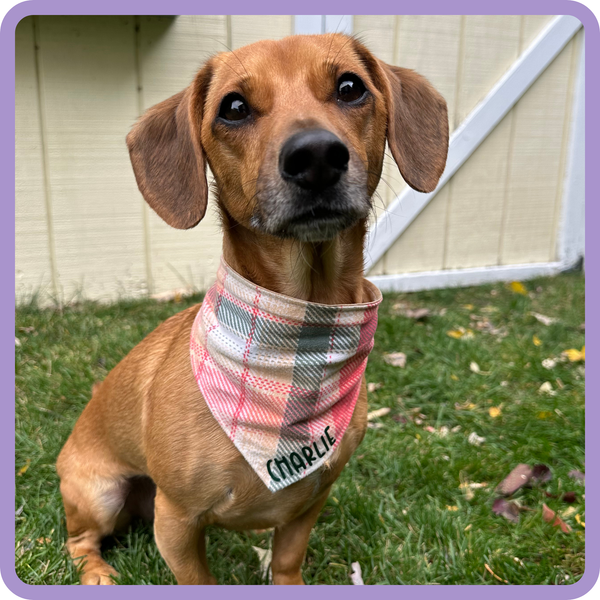 Customer photo for Orange and Green Flannel Bandana