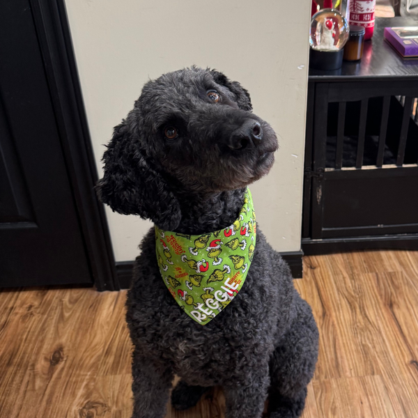 Customer photo for Green Grinch Bandana