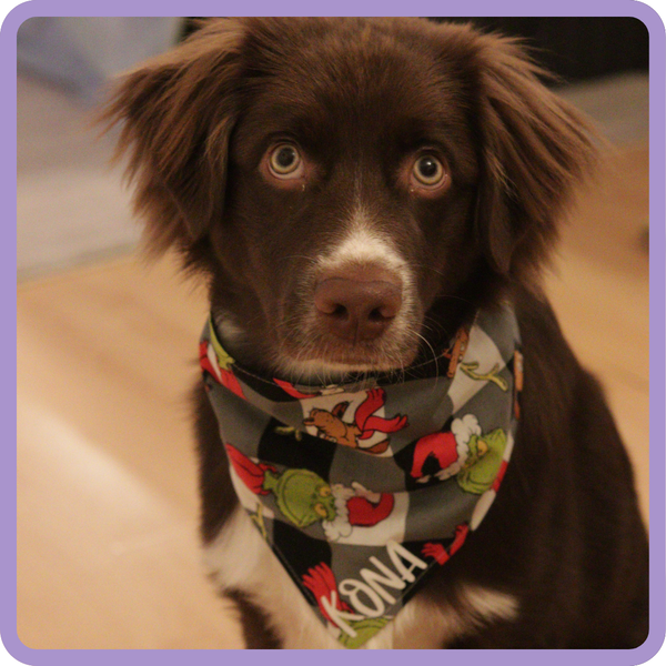Customer photo for Grinch Plaid Bandana